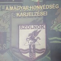 Besenyő János A magyar Honvédség karjelzései könyve