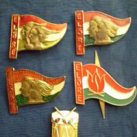 Úttörő és kisdobos sapkajelvények